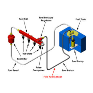 Sensores de contenido AEM Flex Fuel E85 (conexiones con pÃºas de 3/8 â€œ- 6 AN) croquis